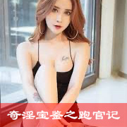 奇淫宝鉴之跑官记下篇