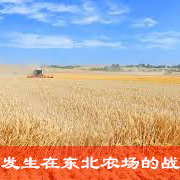 发生在东北农场的战争下篇