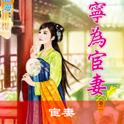 宦妻