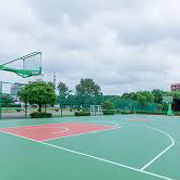 球场轮干